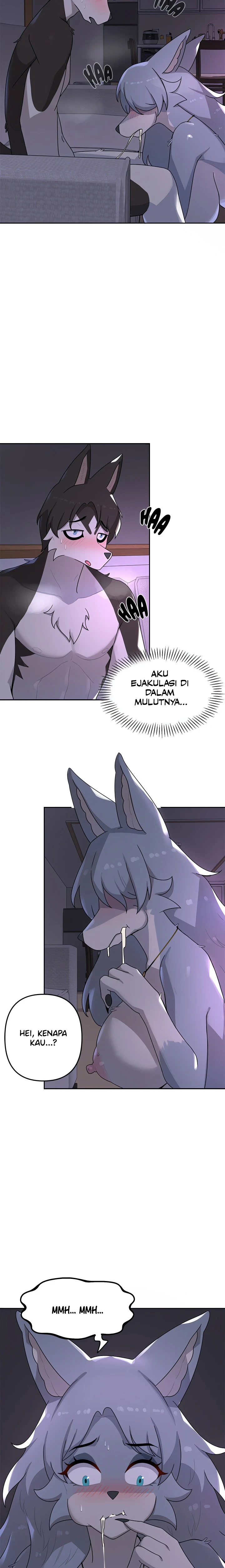 Paws on Campus - Page 19